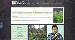 Desktop Screenshot of davidbienenstock.com